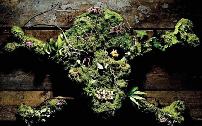 Skull and Crossbones made of Plants