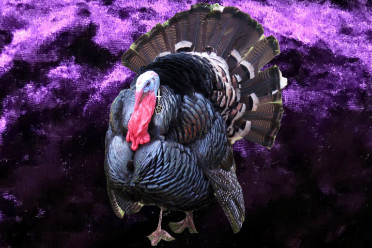 goth turkey